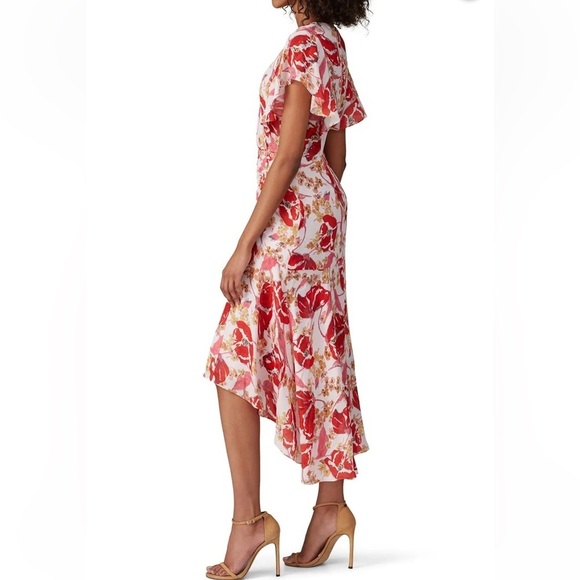 Parker Vivi Dress - Picture 7 of 9